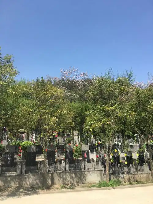 树葬,生态葬,九公山树葬,九公山公墓,北京生态葬