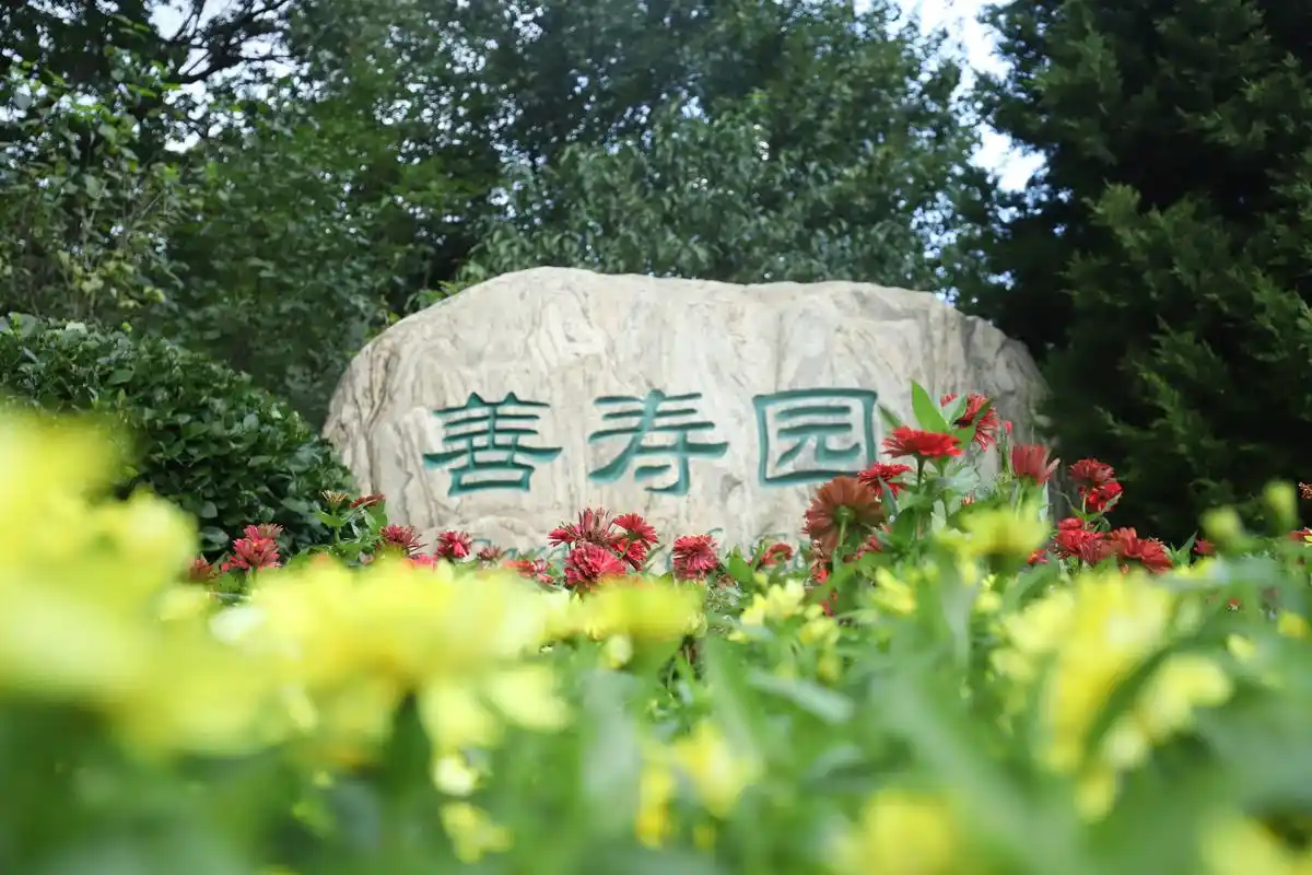 永恒守护：九公山陵园墓位传承规划与专业选墓服务解析 - 北京九公山公墓