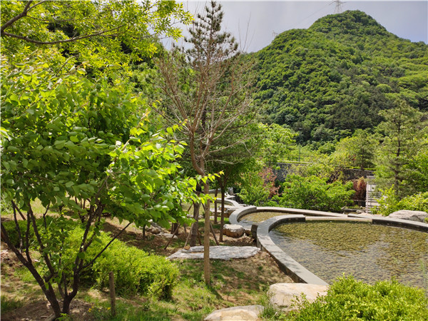 九公山长城纪念林电话,树葬陵园,北京不限户口的墓地,九公山公墓,北京公墓