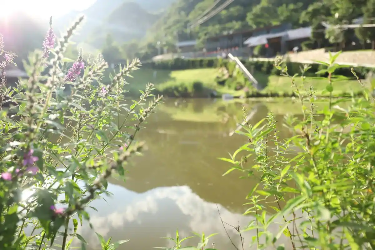 九公山纪念林,公山生态葬